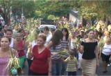 Floristerias En soyapango San Salvador Domingo De Ramos En Ciudad Credisa soyapango San