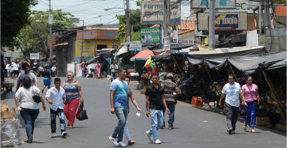 Floristerias En soyapango San Salvador El Vmt Corrige Fallos En Cambio De Recorrido De Rutas En