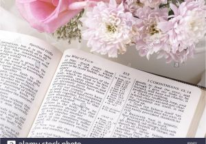 Florists In Stoughton Ma Bible Page Stock Photos Bible Page Stock Images Page 3 Alamy
