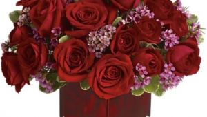 Flower Delivery fort Wayne fort Wayne Florist Flower Delivery by Broadview Florist