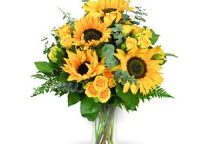 Flower Delivery Ogden Utah Jimmy 39 S Flower Shop Your Trusted Ogden Florist since 1948