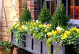 Flower Window Boxes Coupon Code Flower Window Boxes Window Boxes Non Flower Window Box
