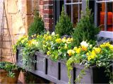 Flower Window Boxes Coupon Code Flower Window Boxes Window Boxes Non Flower Window Box