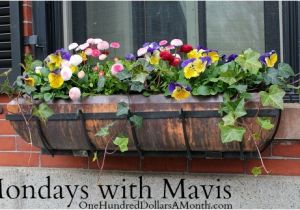 Flower Window Boxes Coupon Code Free Kindle Books Deals On Running Gear Jewelry Deals