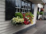 Flower Window Boxes Coupon Code Herb Displays Herbdisplays Co Uk