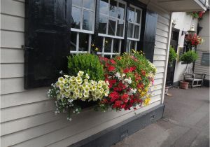 Flower Window Boxes Coupon Code Herb Displays Herbdisplays Co Uk