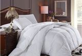 Fluffiest Down Alternative Comforter Amazon Super Oversized soft and Fluffy Goose Down Alternative