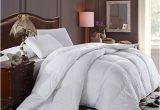 Fluffiest Down Alternative Comforter Super Oversized soft and Fluffy Goose Down Alternative