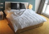 Fluffy Down Alternative Comforter 79 Off On Amor Amore White soft Fluffy Reversible Down