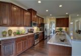 Forevermark Cabinetry Signature Pearl New John Steinbeck Home Model for Sale Nvhomes Home Kitchen