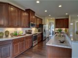 Forevermark Cabinetry Signature Pearl New John Steinbeck Home Model for Sale Nvhomes Home Kitchen