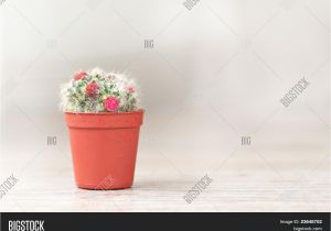 Fotos De Baños Pequeños Y Bonitos En Cuba Http Www Bigstockphoto Es Image 23648477 Stock Photo Golpear La