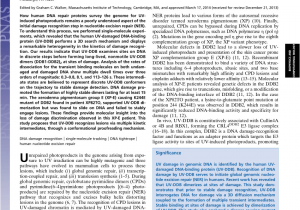 Foundation Repair Raleigh Nc Pdf Twist Open Mechanism Of Dna Damage Recognition by the Rad4 Xpc