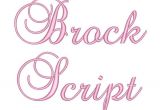 Free Bx Embroidery Fonts 3 Size Brock Script Embroidery Font Bx Fonts Machine