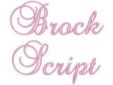 Free Bx Embroidery Fonts 3 Size Brock Script Embroidery Font Bx Fonts Machine