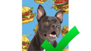Free Dating Sites for Animal Lovers Dog Art Cat Art Custom Pet Pop Art Pop Your Pup