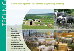 Free List Of Rent to Own Homes In Kansas City Mo Pdf organic Pig Production In Europe Health Management In Common