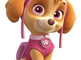 Free Paw Patrol Iron On Transfers Paw Patrol Skye Iron On Transfer 5 Quot X6 75 Quot for Light