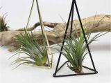 Free Standing Wrought Iron Plant Hangers Detail Feedback Questions About Geometric Iron Art Freestanding