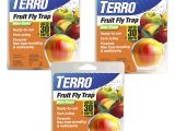 Fruit Fly Bar Pro Amazon Com Terro Fruit Fly Trap T2500 Home Pest Control Traps