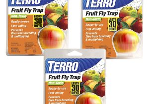 Fruit Fly Bar Pro Amazon Com Terro Fruit Fly Trap T2500 Home Pest Control Traps