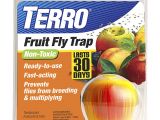 Fruit Fly Bar Pro Amazon Com Terro Fruit Fly Trap T2500 Home Pest Control Traps