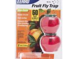 Fruit Fly Bar Pro Amazon Com Terro Fruit Fly Trap T2500 Home Pest Control Traps