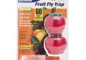 Fruit Fly Bar Pro Amazon Com Terro Fruit Fly Trap T2500 Home Pest Control Traps