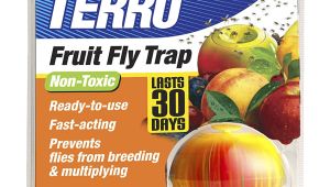 Fruit Fly Bar Pro Amazon Com Terro Fruit Fly Trap T2500 Home Pest Control Traps