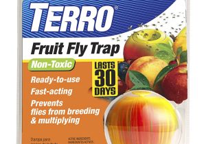 Fruit Fly Bar Pro Amazon Com Terro Fruit Fly Trap T2500 Home Pest Control Traps