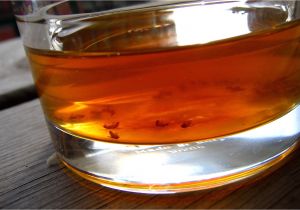 Fruit Fly Bar Pro Make A Vinegar Trap to Get Rid Of Fruit Flies