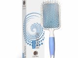 Fuller Brush Products Coupons Amazon Com Professional Gentle Detangler Brush Oval Hair Ionic