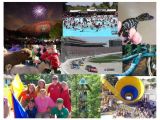 Fun Things to Do In Columbus Ga This Weekend Summer Camp Directory Muscogee Moms