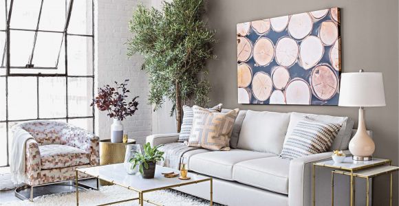 Furniture York Pa Craigslist Furniture Creative Craigslist Mcallen Edinburg Furniture Cool Home