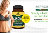 Garcinia Lean Xtreme Reviews Garcinia Lean Xtreme Reviews Garcinia Lean Xtreme Weight