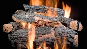 Golden Blount Gas Logs Golden Blount 30 Inch Big Tex Vented Natural Gas Log Set