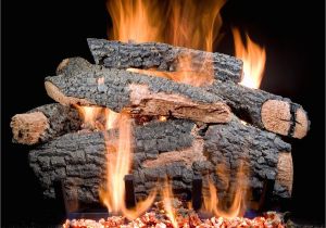 Golden Blount Gas Logs Golden Blount 30 Inch Big Tex Vented Natural Gas Log Set