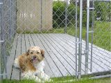 Good Flooring for Dog Kennel Outdoor Dog Kennels Reviews Guides Outdoor Dog