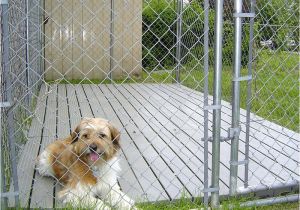 Good Flooring for Dog Kennel Outdoor Dog Kennels Reviews Guides Outdoor Dog