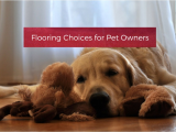Good Flooring for Dog Owners Flooring Choices for Pet Owners Your Wild Home