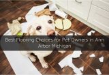 Good Flooring for Dog Owners Types Of Flooring for Pet Owners In Ann Arbor Mi