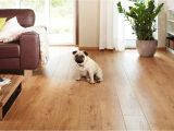 Good Flooring for Dogs the Best Flooring for Dogs Looking for the Perfect Option