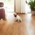Good Flooring for Dogs the Best Flooring for Dogs Looking for the Perfect Option