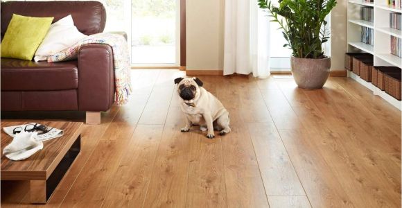 Good Flooring for Dogs the Best Flooring for Dogs Looking for the Perfect Option