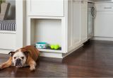 Good Flooring for Dogs What 39 S the Best Flooring for Dogs and Cats