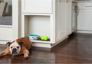 Good Flooring for Dogs What 39 S the Best Flooring for Dogs and Cats