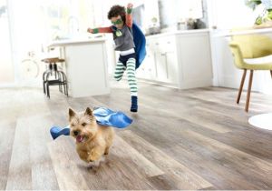 Good Flooring for Large Dogs Best Hardwood Floors for Large Dogs Gurus Floor