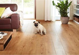Good Wood Flooring for Dogs the Best Flooring for Dogs Looking for the Perfect Option