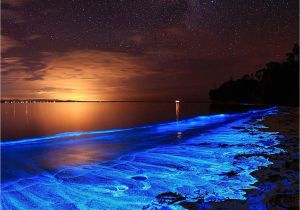 Grand Cayman Bioluminescence tour Australian Sunset Illuminated with the Blue Glow Of Bioluminescent