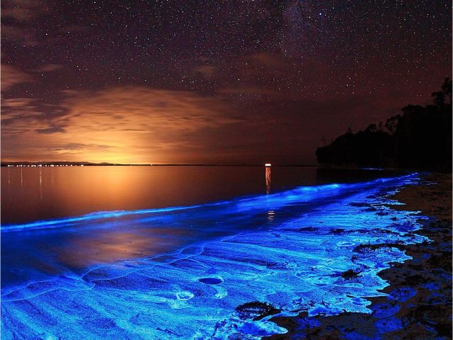 grand cayman bioluminescent bay tour